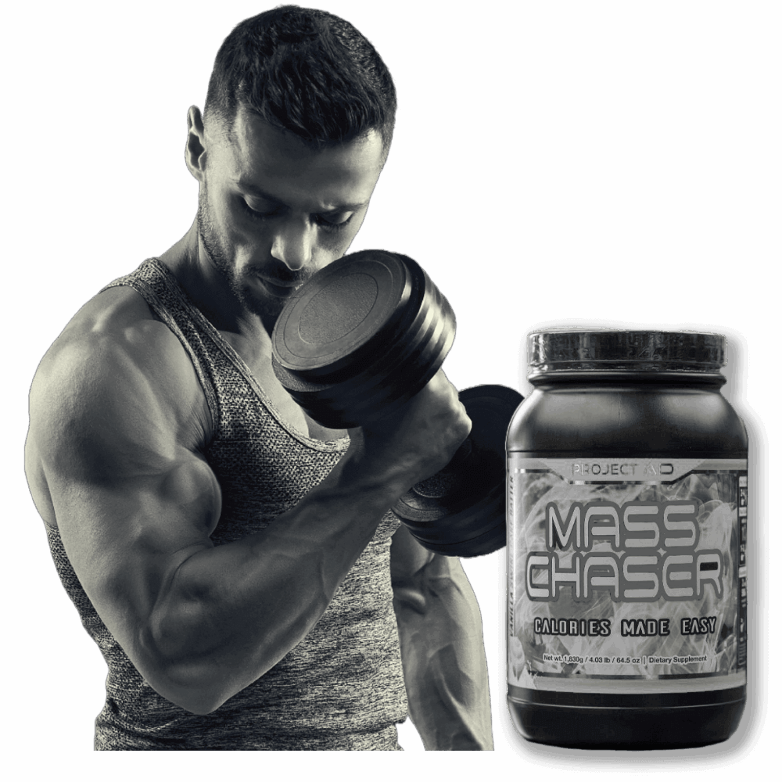 <span>Project Ad</span> Mass Chaser